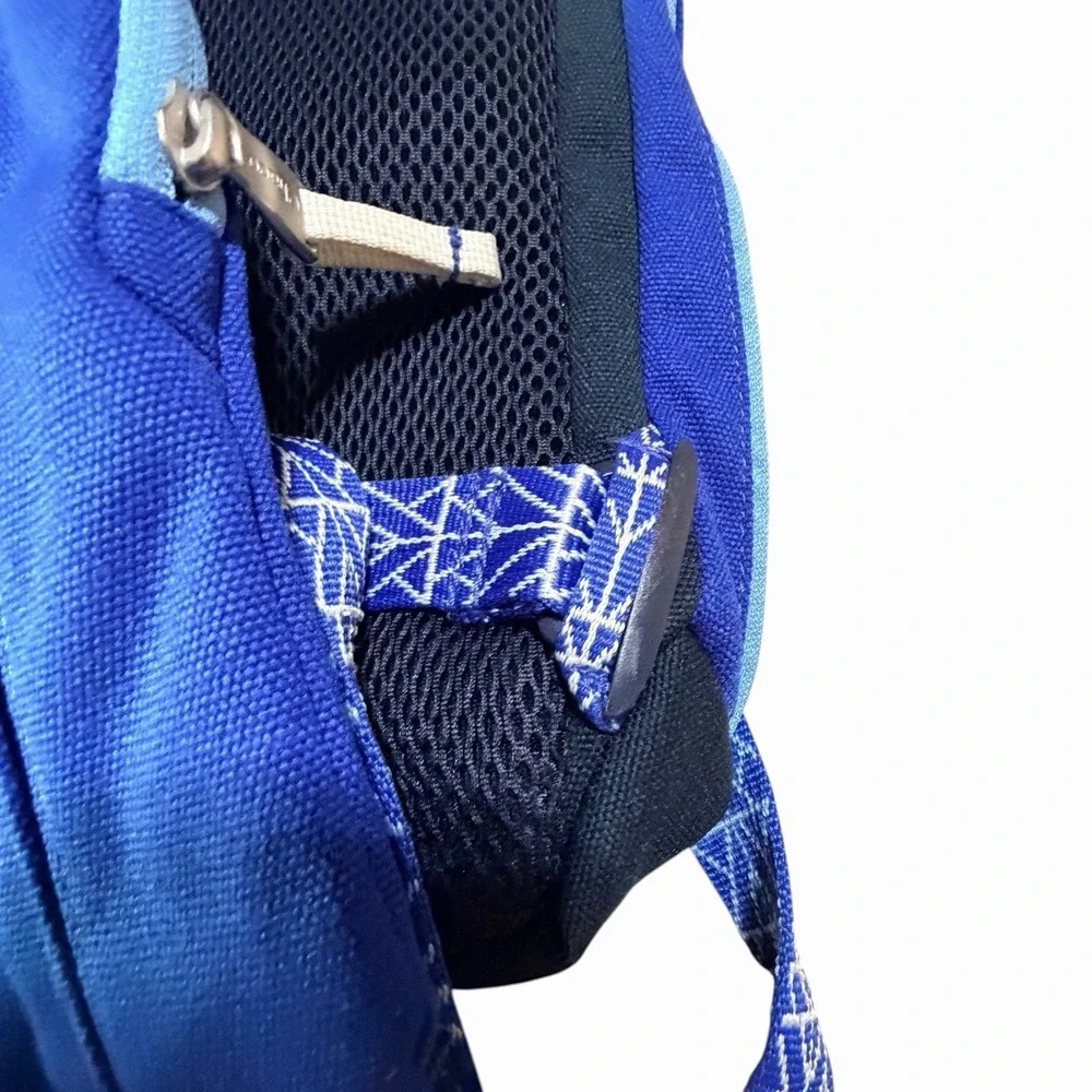 Chaco Radlands Backpack Hiking Day Pack Sling Royal Blue
